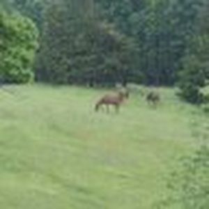 Meet your Posher, Kampala ranch